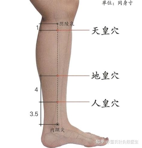 下三皇穴位|下三皇准确位置和功效